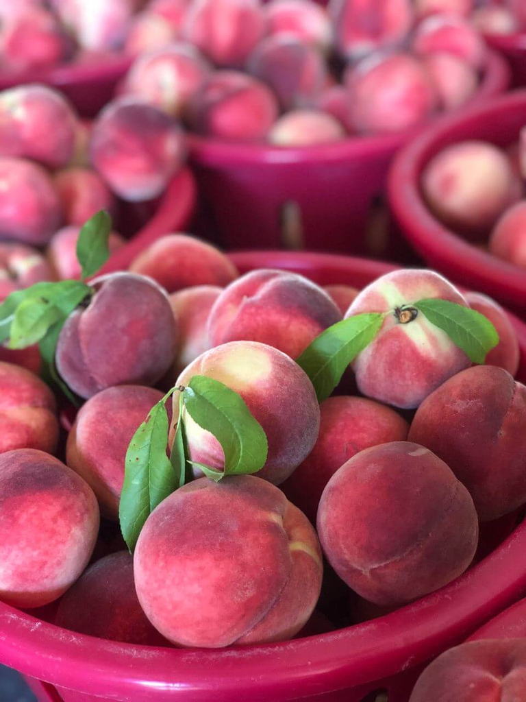 Beautiful baskets of white Blushingstar Bennett Peaches with leaves still attached. 